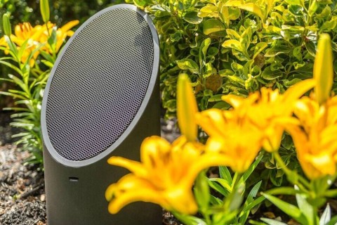 An ellipse bollard speaker from Coastal Source hides among the flowers.